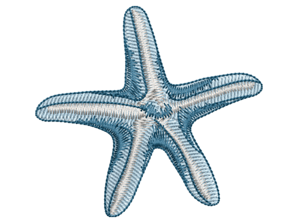 Blue Starfish Embroidery: A Seasonal Review